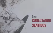 SALA CONECTANDO SENTIDOS