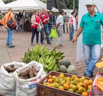 Este viernes, mercado campesino en la Plaza de Bolívar