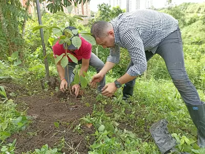 Secretaría de Vivienda realizó una nueva sembratón en el macro proyecto Gonzalo Vallejo