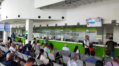 Un total de 21.570 licencias de conducción fueron tramitadas en el Instituto de Movilidad de Pereira