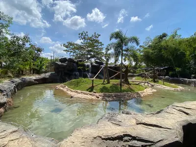 Nuevo hábitat para los lémures del Bioparque Ukumarí