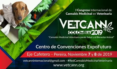 Alcaldía invita al primer congreso internacional de cannabis medicial en veterinaria