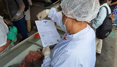 Secretaría de Salud realizó inspección a pescaderías del Centro, verificando la calidad de los productos de mar que consumen los pereiranos