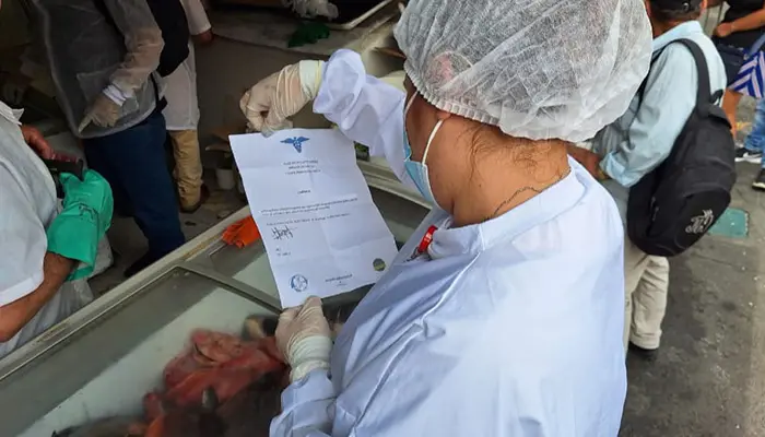 Secretaría de Salud realizó inspección a pescaderías del Centro, verificando la calidad de los productos de mar que consumen los pereiranos